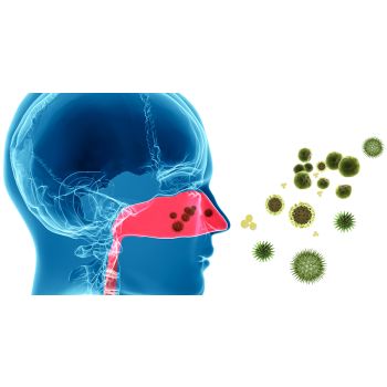 Sinusitis treatment powder